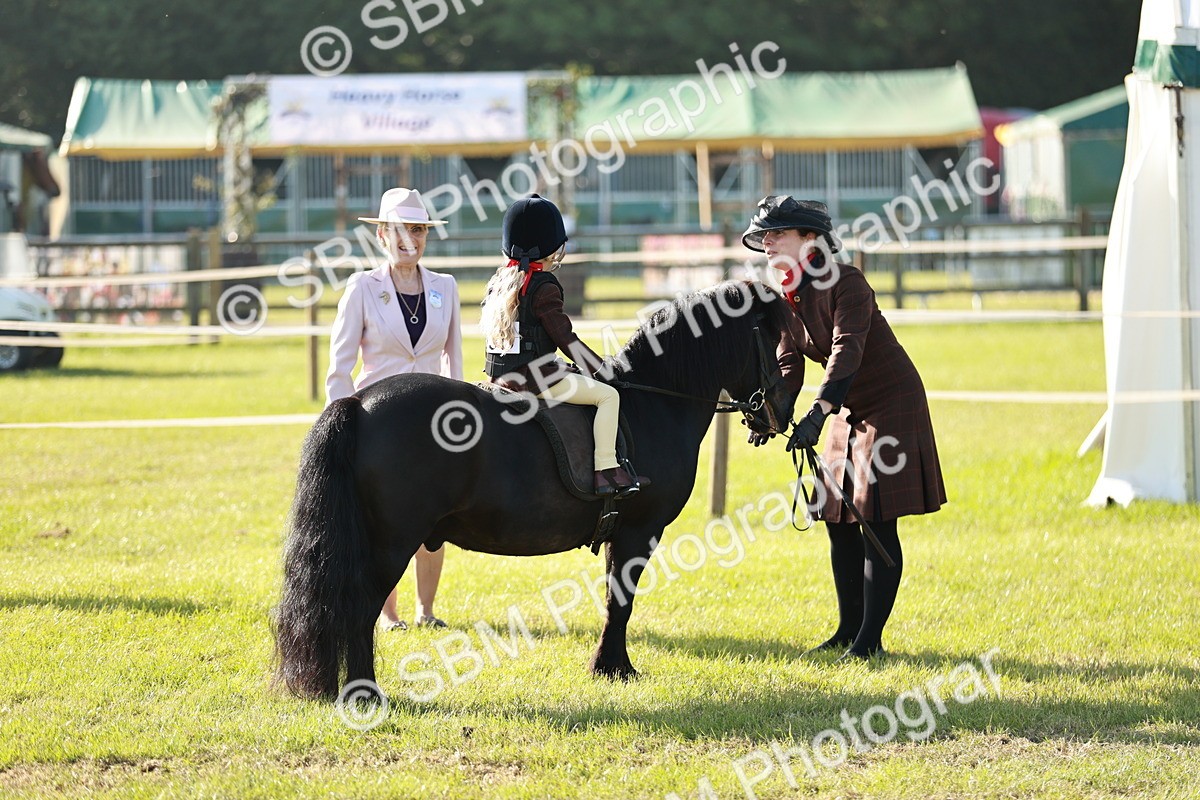 SBM_11102 - Class 106-107 - BSPS LIHS Working Sports Pony