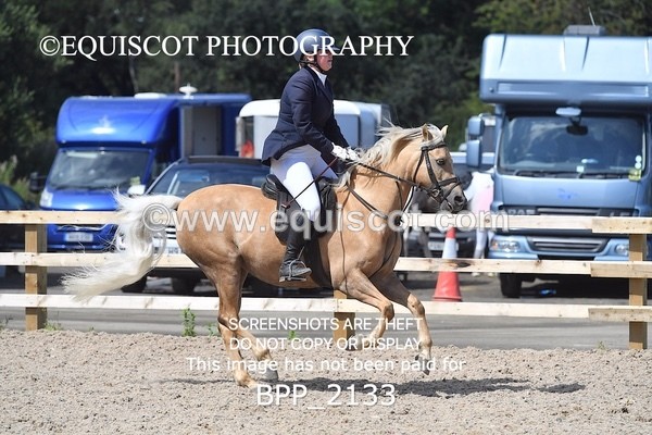 BPP_2133 - DERBY CLASS 6 - 70CM