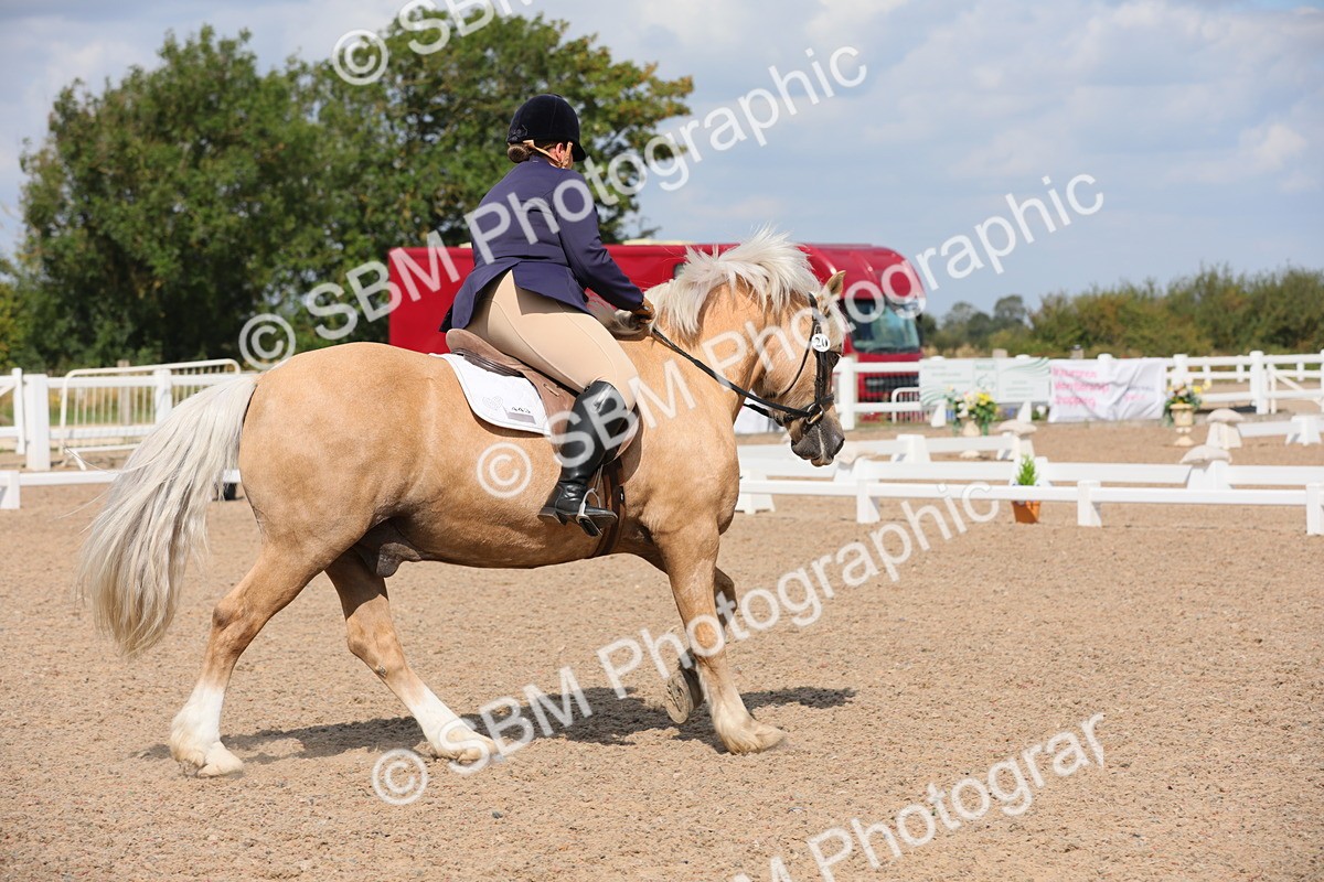 SBM_04038 - Class 31 Prelim 1