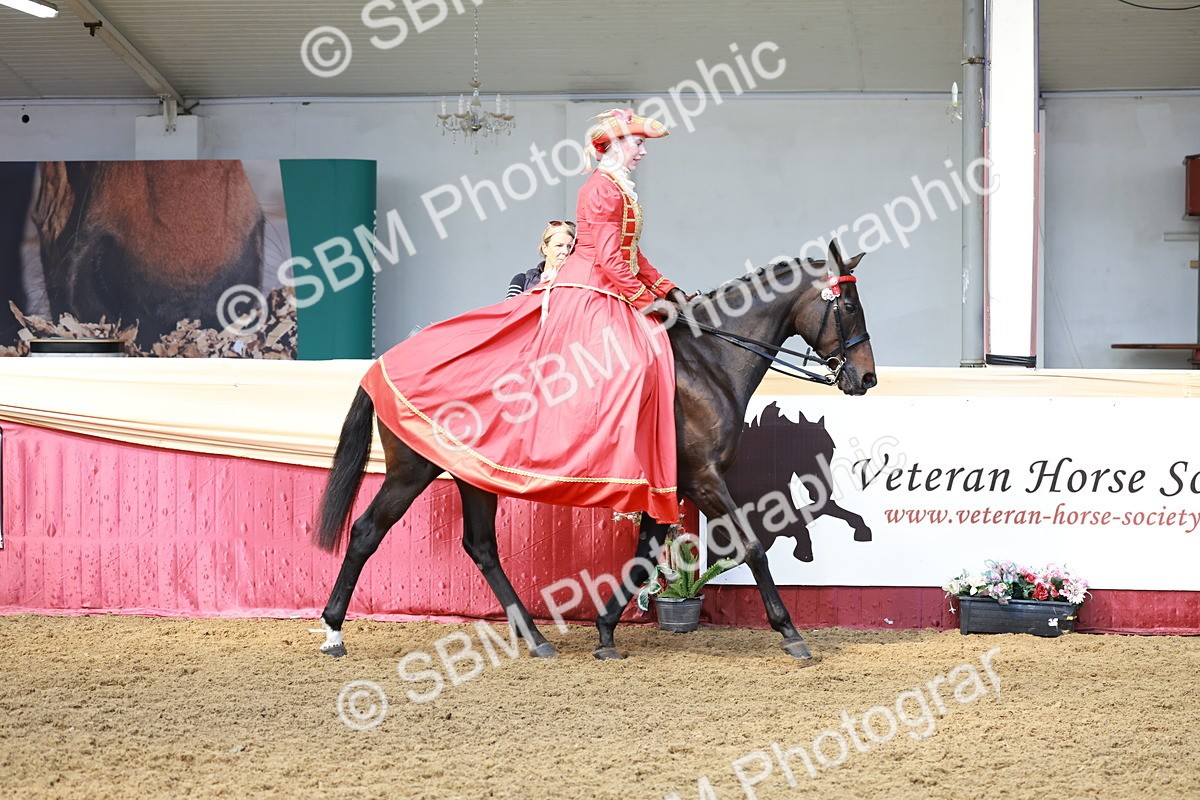 SBM_14758 - Class 107 - Ridden Costume - Astride Adult  (20+)