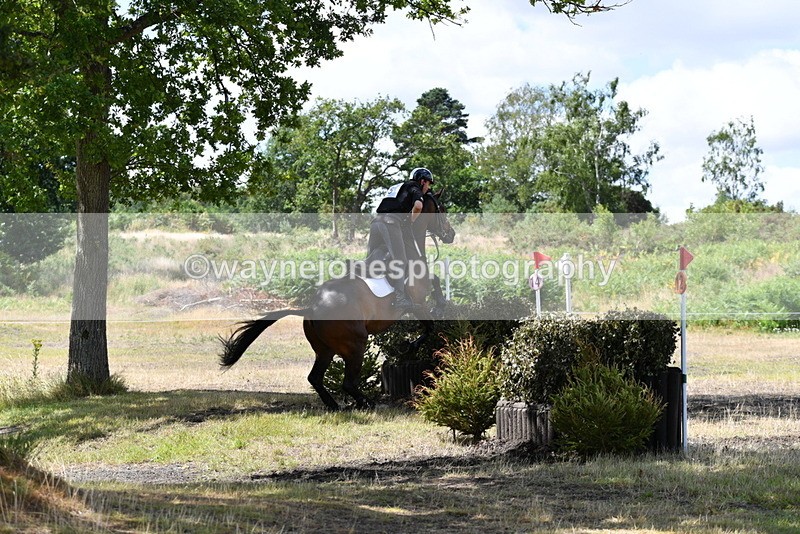 WJ5_9343 - Time 11:21 to 11:58