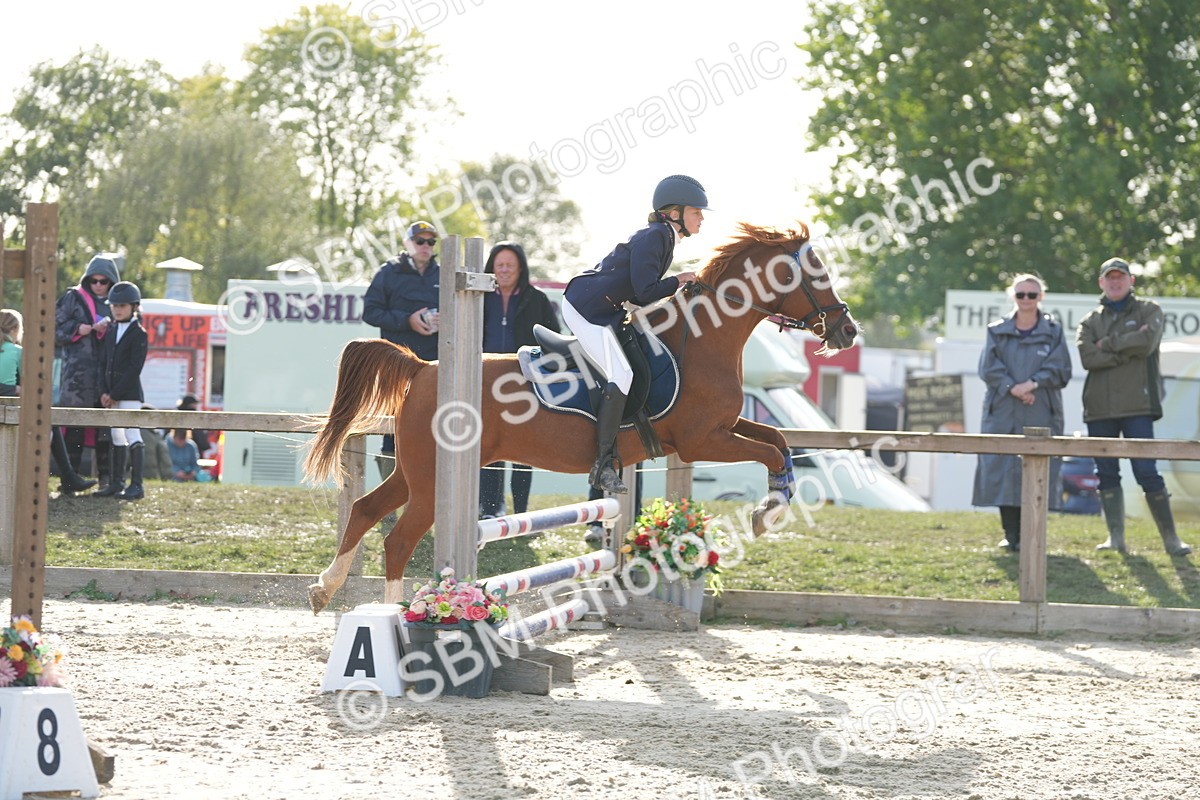 SBM_51157 - J8 - Junior Pony 65cm Championship