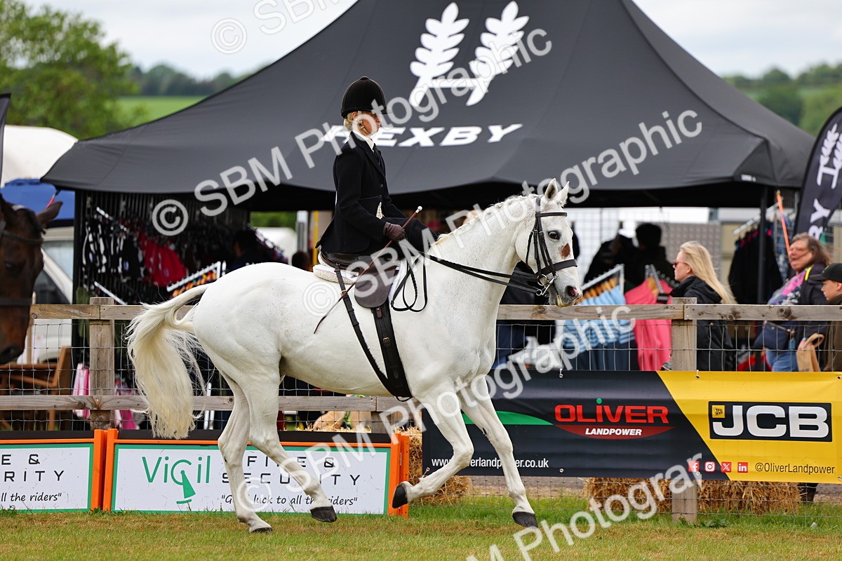 SBM_02720 - Class 9-11 Side Saddle including LIHS Rising Star Ladies Show Horse