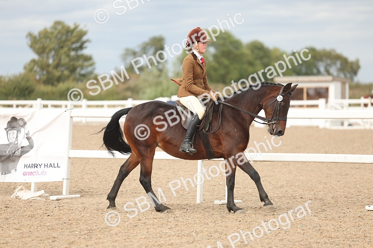 SBM_17995 - Class 314 - Family Horse Pony