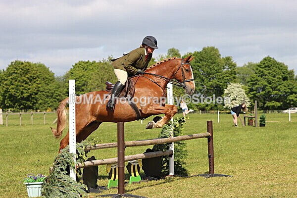 IMG_4886 - Working Hunter
