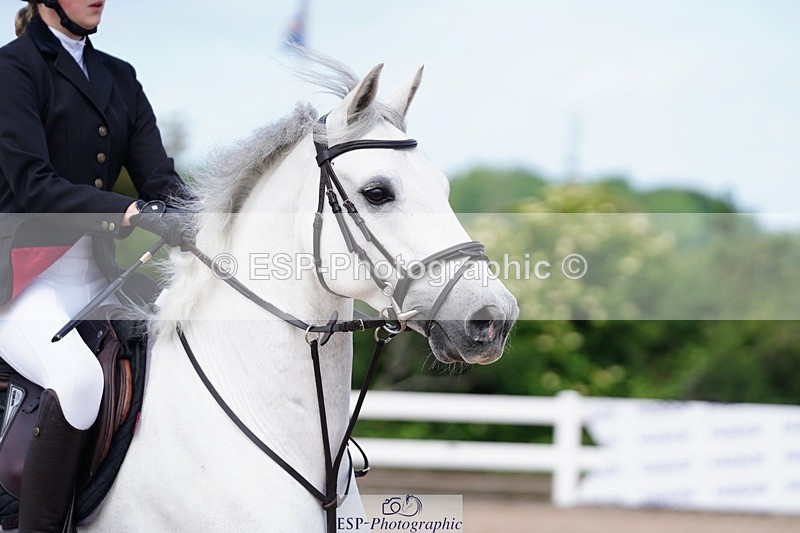 250525-104518-09160 - Cls 32 A&B Snr Brit Nov & 90cm Open