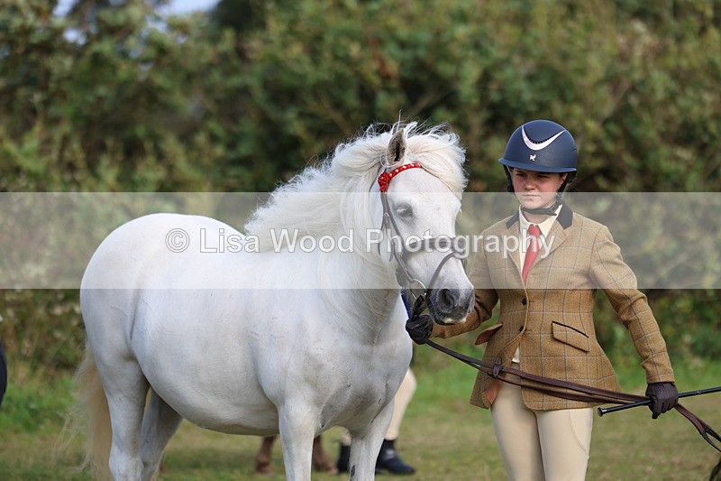 3E7A3223 - Class 12: M & M Small Breeds