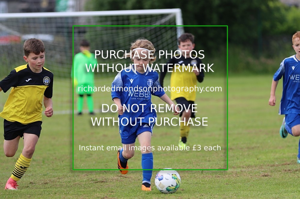 IMG_4774 - Photo Collection 1 (Morning session)