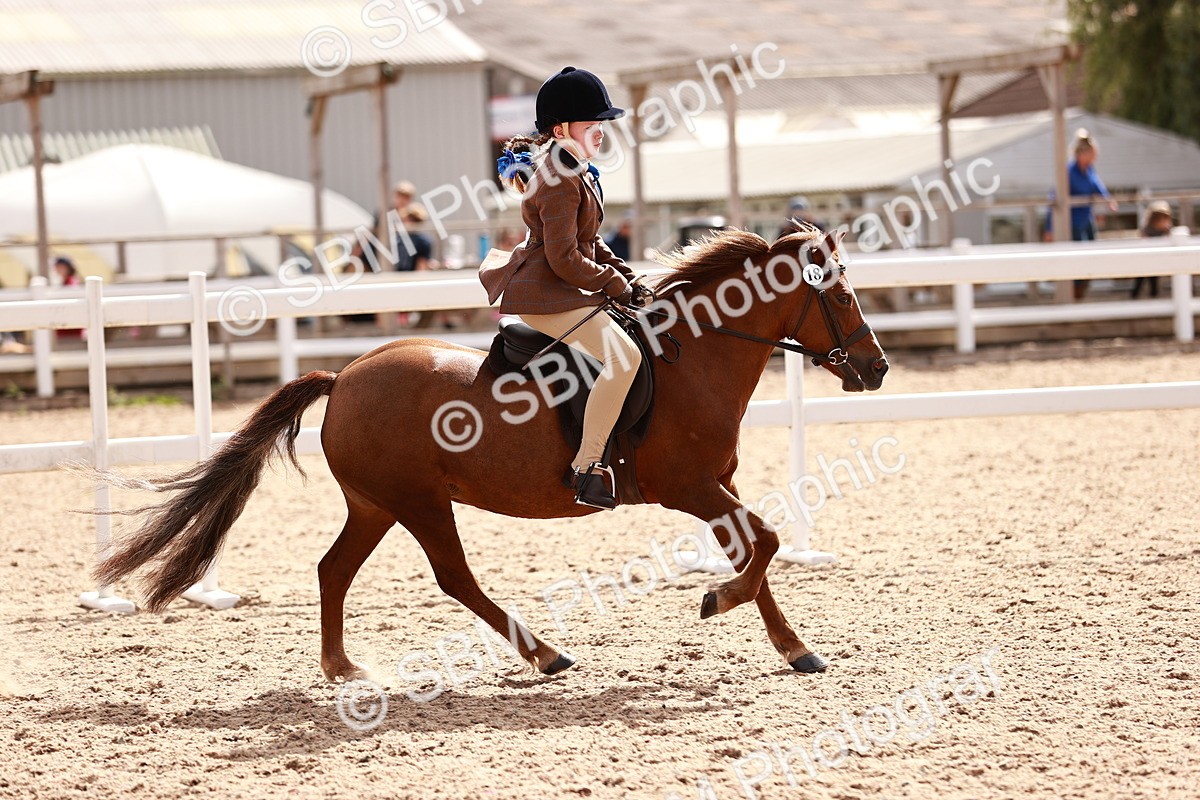 SBM_14384 - Class 409 - Grassroots Ridden - Pony