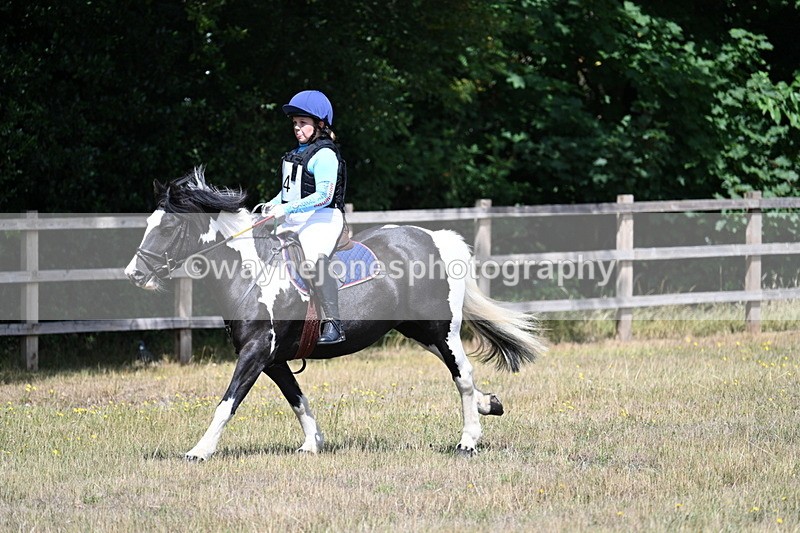 WJ7_0252 - 40cm Time 11:47 to 12:01