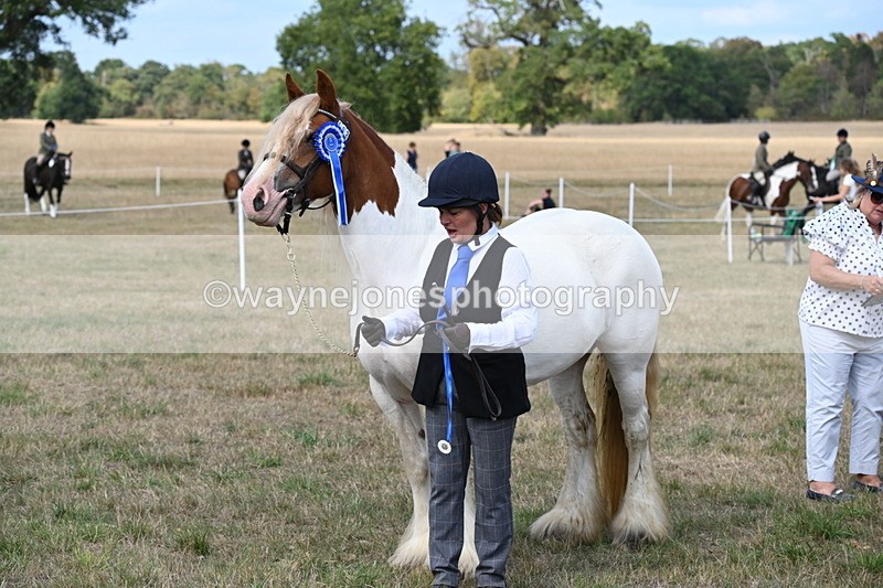 WJ6_6710 - Class 20 In-hand Cob