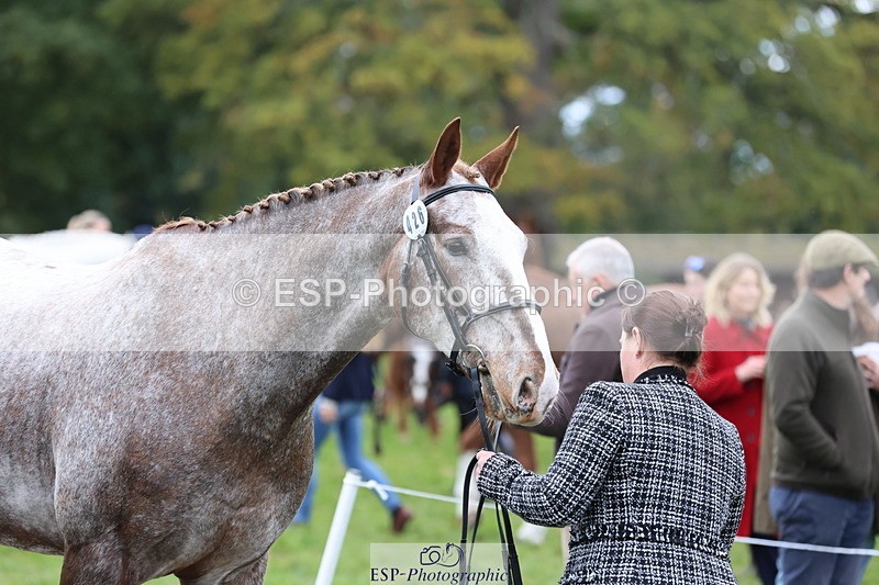 251026A-113225-25507 - F-426-Tracey.Neville