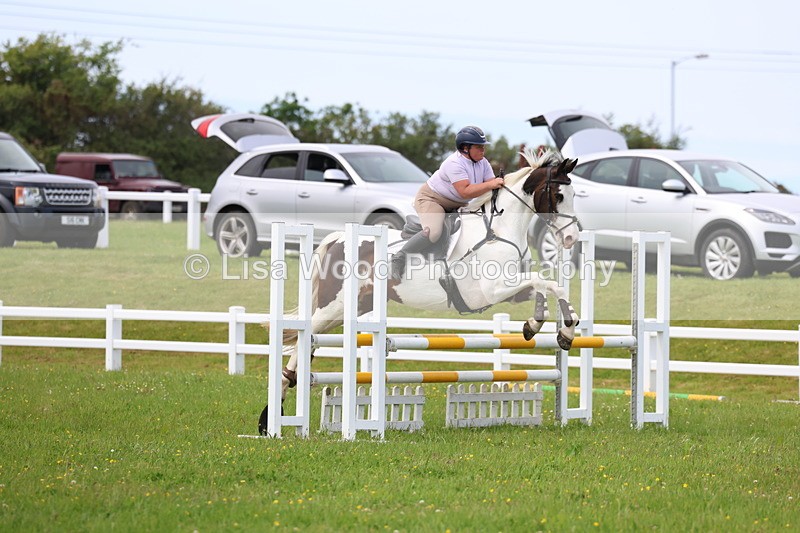 3E7A1696 - Class 13: Senior British Novice/90cm open