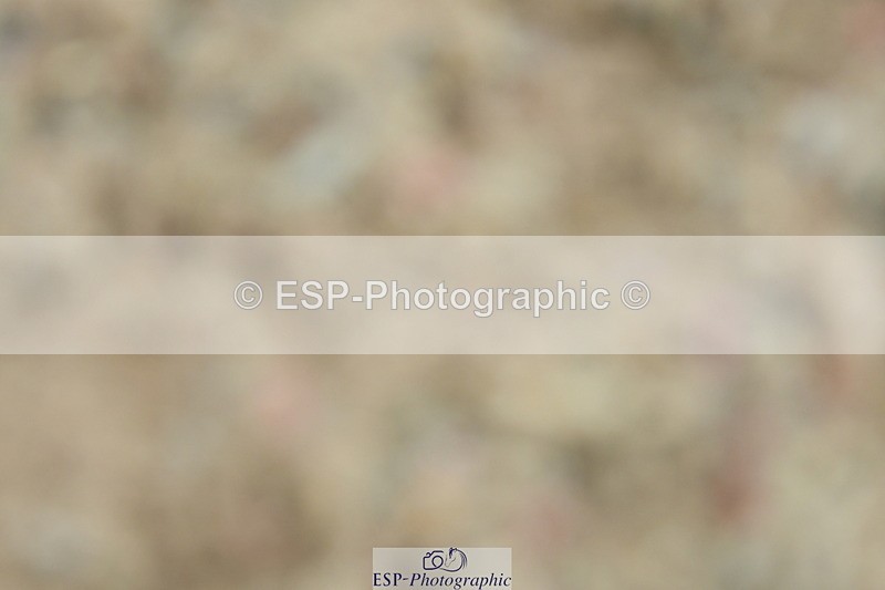 230630A-143535-03007 - Cls 15 Music Adv Medium