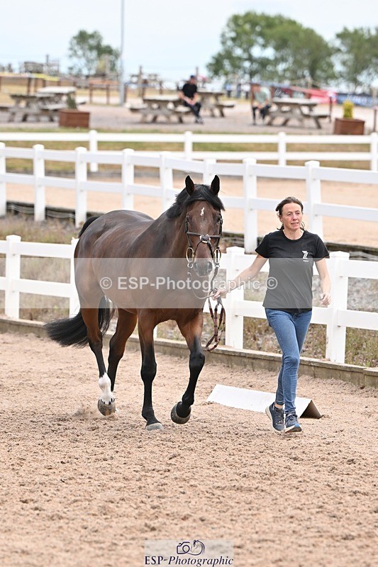 250716-143035-01145 - Trot Up 2.30 to 3.30