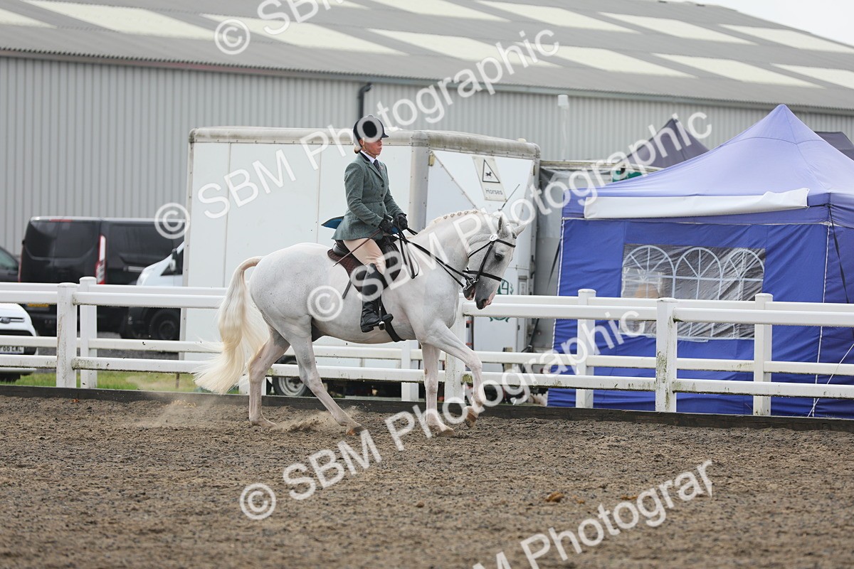 SBM_21274 - Class 805 - Ridden Veteran Horse