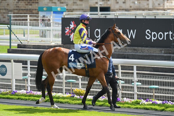 yr13052021r5-1 - Race 5 3.40pm British Stallion Studs EBF Westow Stakes