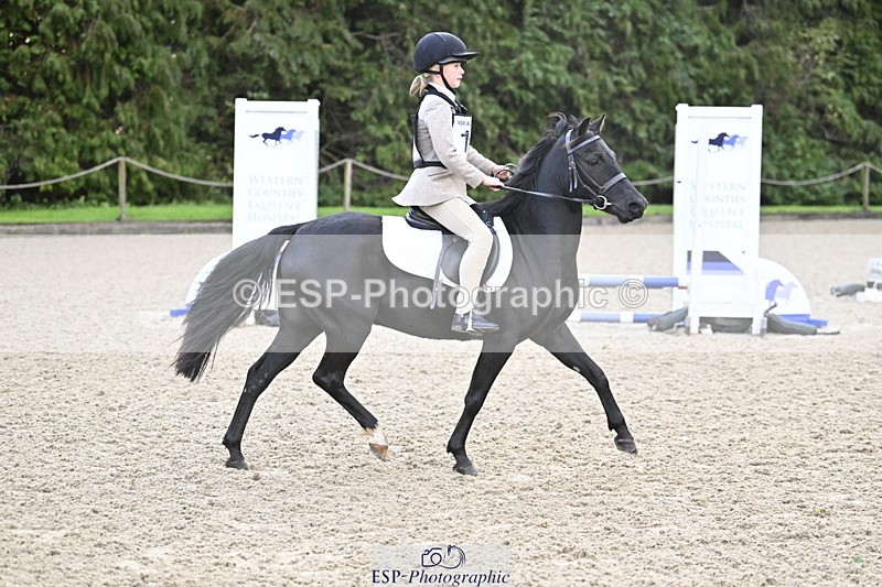 251005A-081612-02726 - Cls 01 GR 40cm