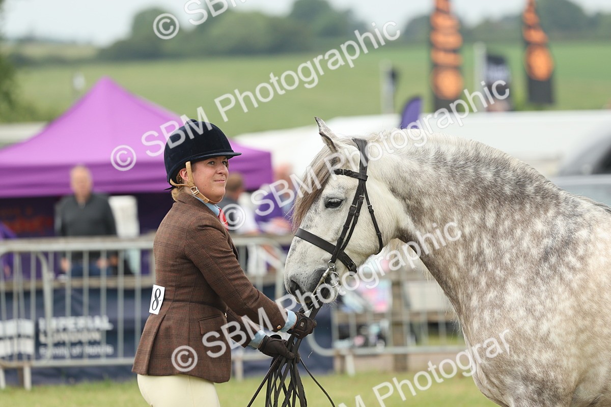SBM_08986 - Class 78-80 - Ridden M&M Non Welsh Ponies