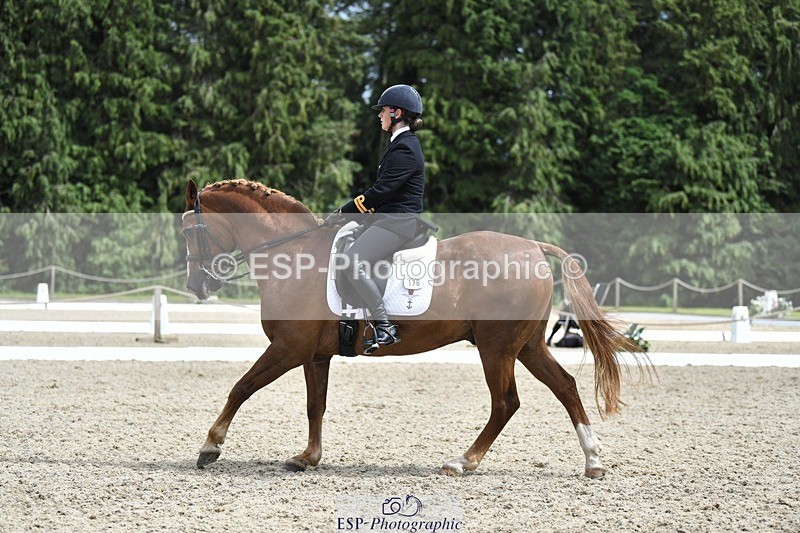 230812-141922-04666 - Cls 7 FEI PSG Bronze