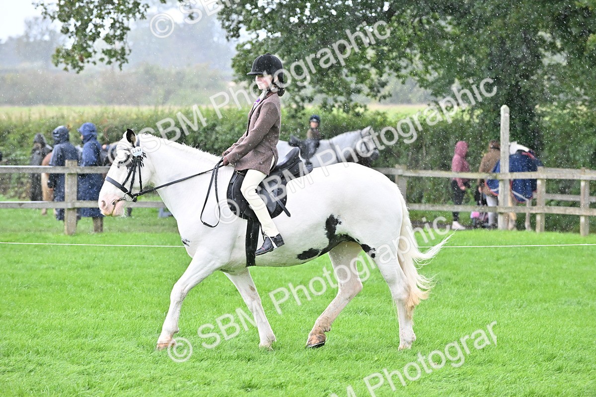 SBM_43026 - S12 - Family Horse & Pony