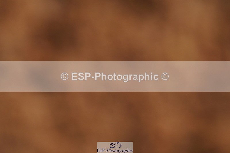 240628A-182734-00765 - Cls 3 1m Open