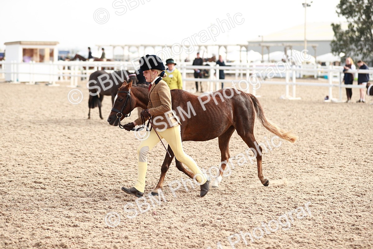 SBM_10602 - Class 204 Young Handler, 11-16 years