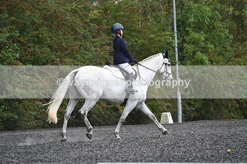 WJ7_6586 - Time 14:49 to 15:14