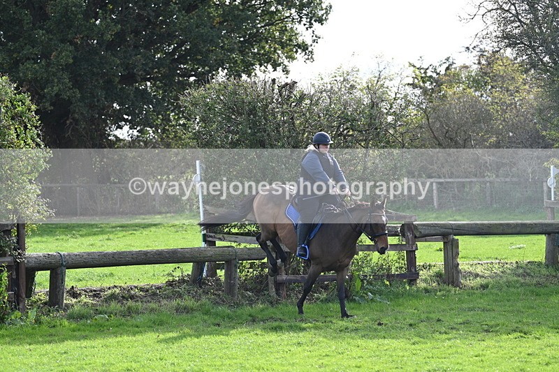 WJ7_0958 - Time 14:27 to 15:11