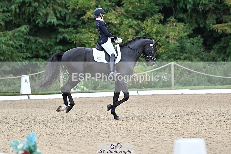 240810-102902-02674 - 235-Rebecca.Cowderoy-Nights.Dream