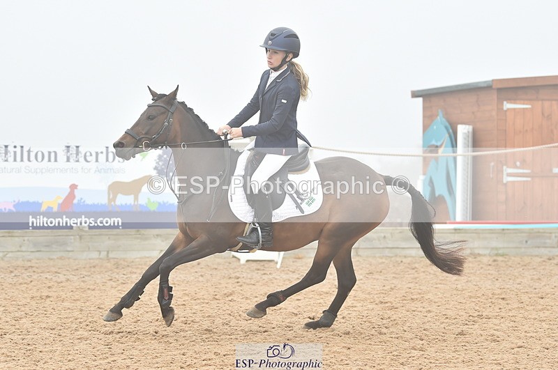 230902A-104342-00442 - Cls 2A Pony Small 70cm