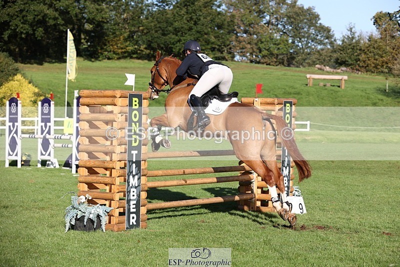 231022-103158-24587 - 606-GOLDEN.HEART.BREAKER-Emily.R.Vincent-TrotUp+SJ