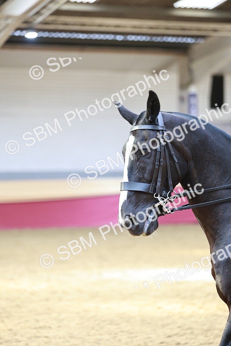 SBM_08304 - Class 11R - Regional Ridden Veteran