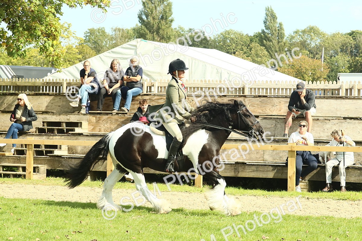 SBM_67582 - S56 - Coloured Pony Ridden