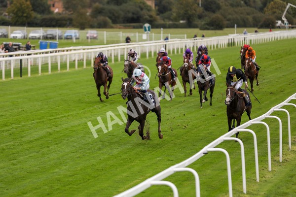 131023-Race 2-Lordship-9742 - Race 2 2.40pm William Hill Finale Handicap