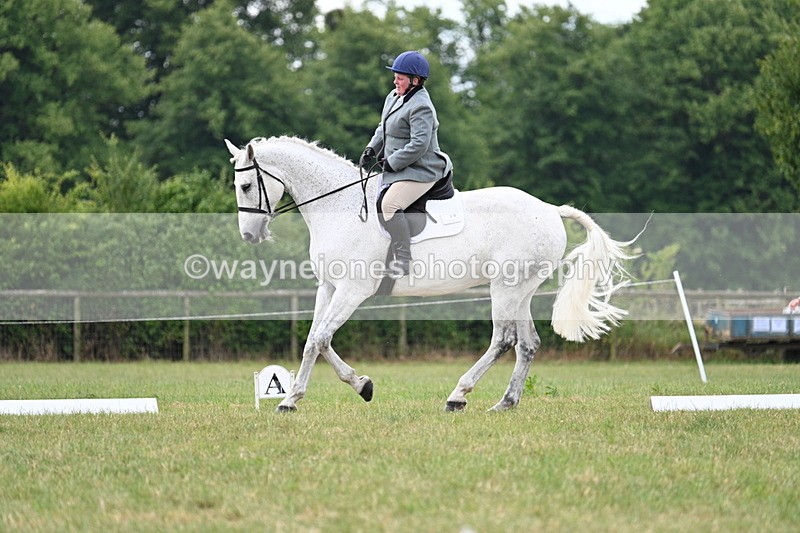 WJ7_5100 - Time 11:22 to 11:51