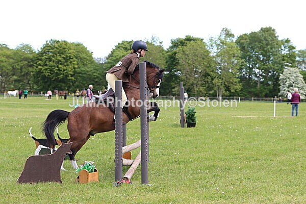 IMG_2879 - Working Hunter