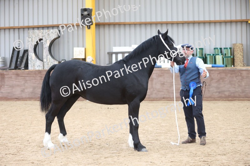 20251109-0972 - Class 26 - 2 and 4 Year Olds