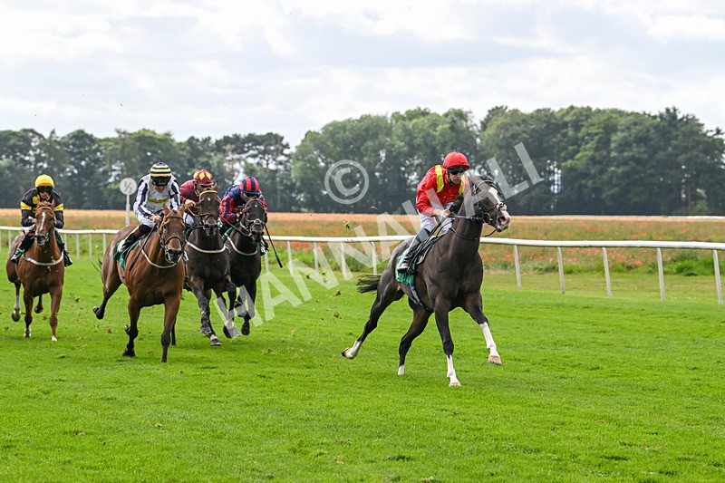 090824-Race 4-Law Of Average-4675 - Race 4