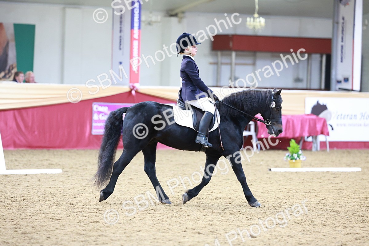 SBM_09207 - Class 61 - Dressage to Music