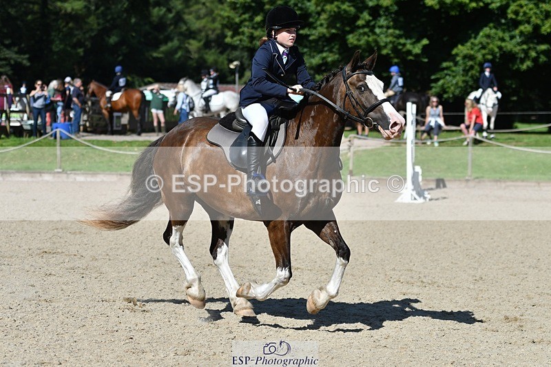 240728-101236-02171 - PC70, Round 2