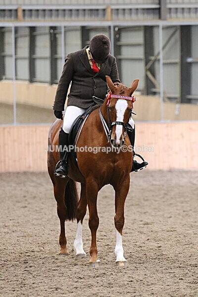SIAL2855 - Sunday 14th Ridden