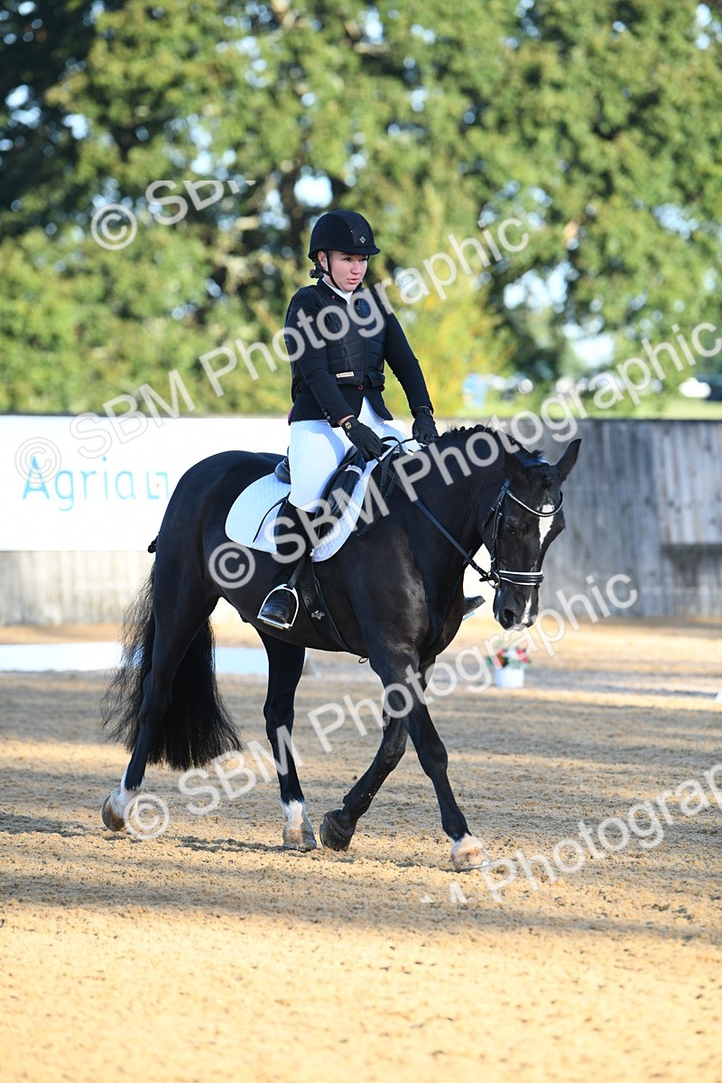 SBM_14274 - D4 - Small Tour Championship - Intro B