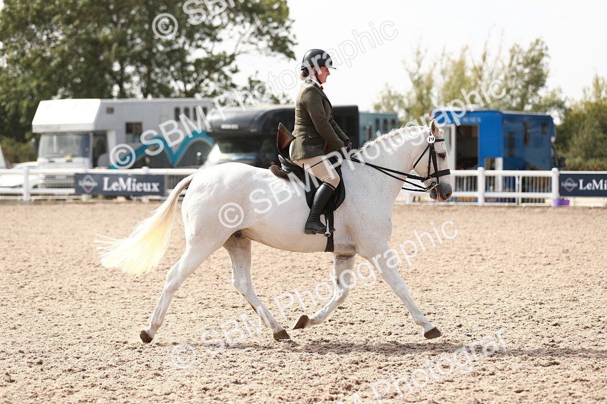 SBM_14841 - Class 212 Ridden Hunter - Small