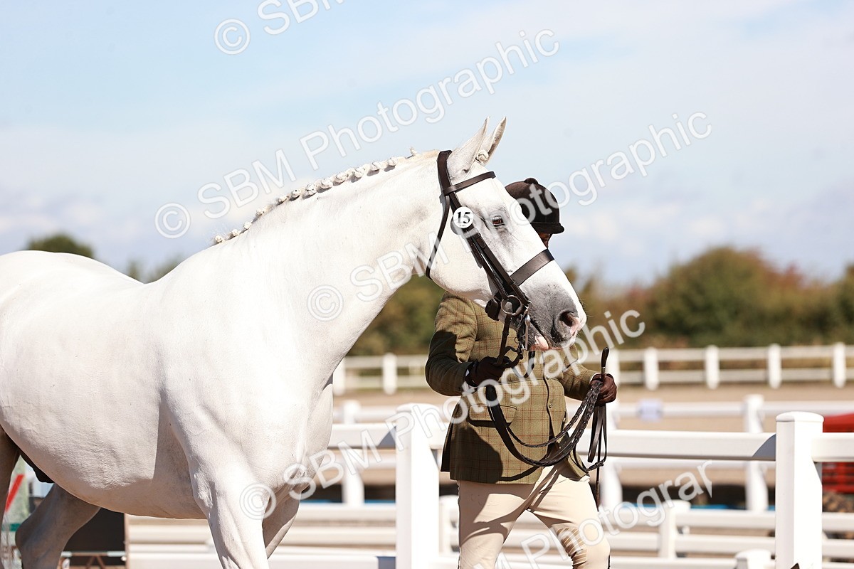 SBM_13266 - class 406 - IH Hunter