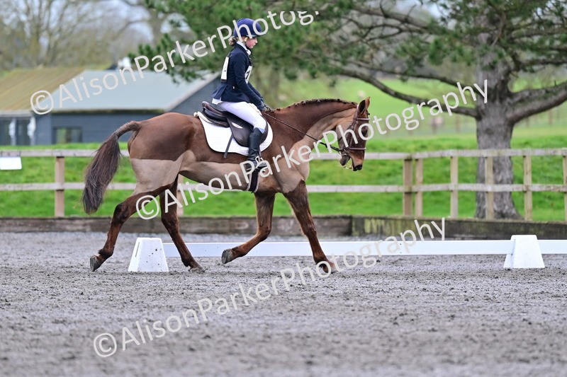 20260125-3986 - Class 12 - Novice