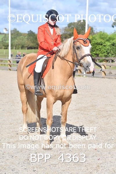 BPP_4363 - CLASS 6 HORSE 60CM FINAL