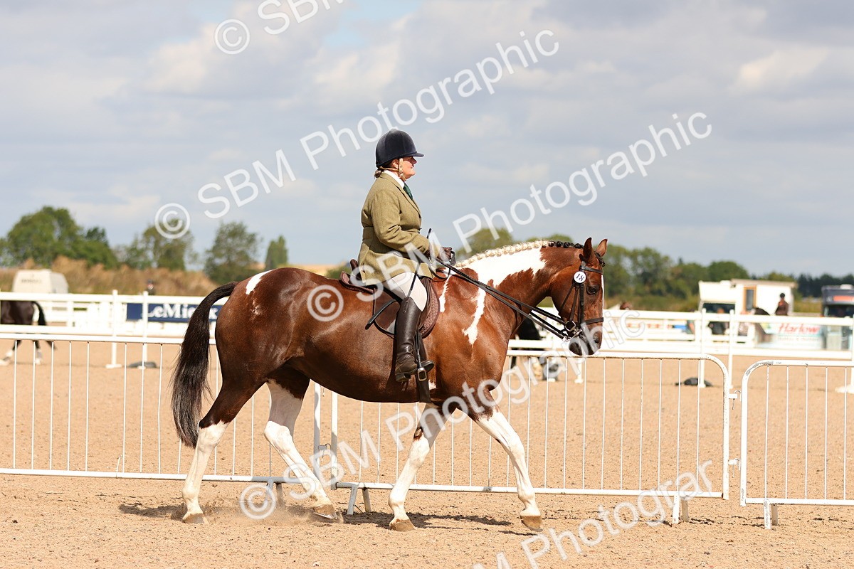 SBM_13188 - Class 211 - Ridden Hunter - Small