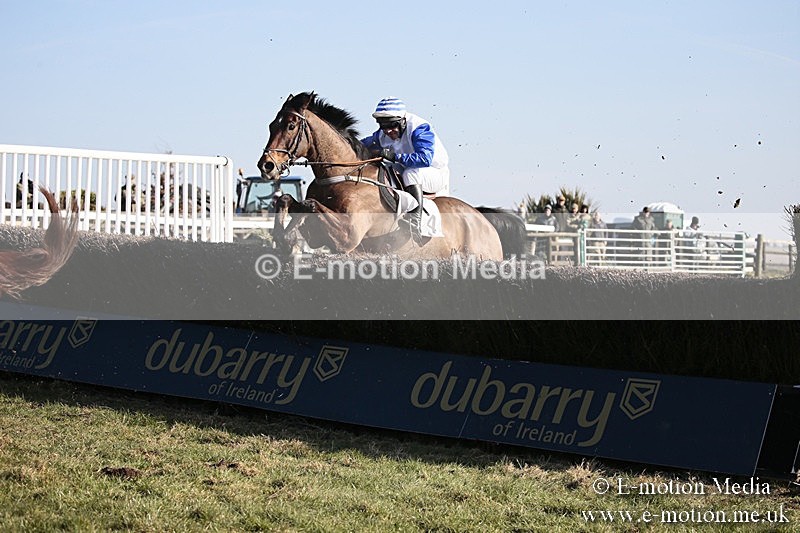 PtP 240218 399 - Vine & Craven Hunt Point-to-Point Barbury racecourse 24/02/18