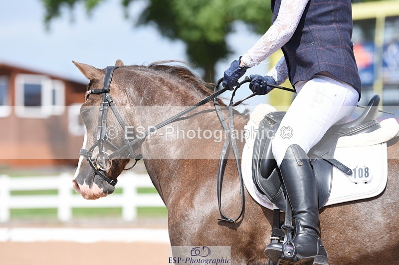 230701A-152930-07409 - Cls 9 Novice 28